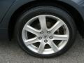 Carbon Gray Pearl - TSX Sedan Photo No. 14