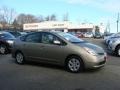 Driftwood Pearl - Prius Hybrid Photo No. 1