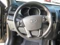 Titanium Silver - Sorento LX Photo No. 10