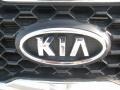Titanium Silver - Sorento LX Photo No. 24