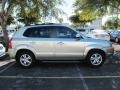 Sahara Silver - Tucson GLS V6 Photo No. 2