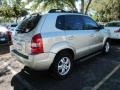 Sahara Silver - Tucson GLS V6 Photo No. 3