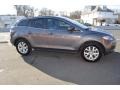 Galaxy Gray Mica - CX-7 Touring Photo No. 29