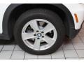 Alpine White - X5 4.8i Photo No. 13