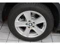 Alpine White - X5 4.8i Photo No. 14