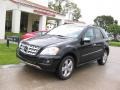 Black - ML 350 4Matic Photo No. 1