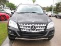 Black - ML 350 4Matic Photo No. 2