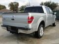 Ingot Silver Metallic 2010 Ford F150 Lariat SuperCrew Exterior