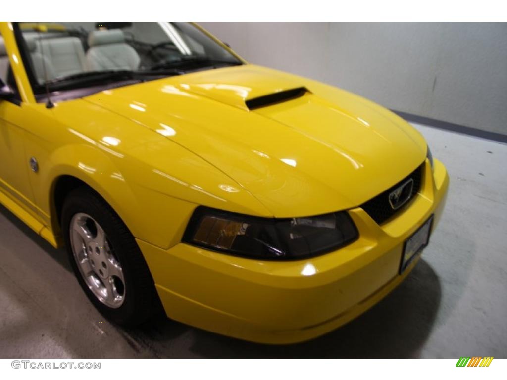 2004 Mustang V6 Convertible - Screaming Yellow / Oxford White photo #36