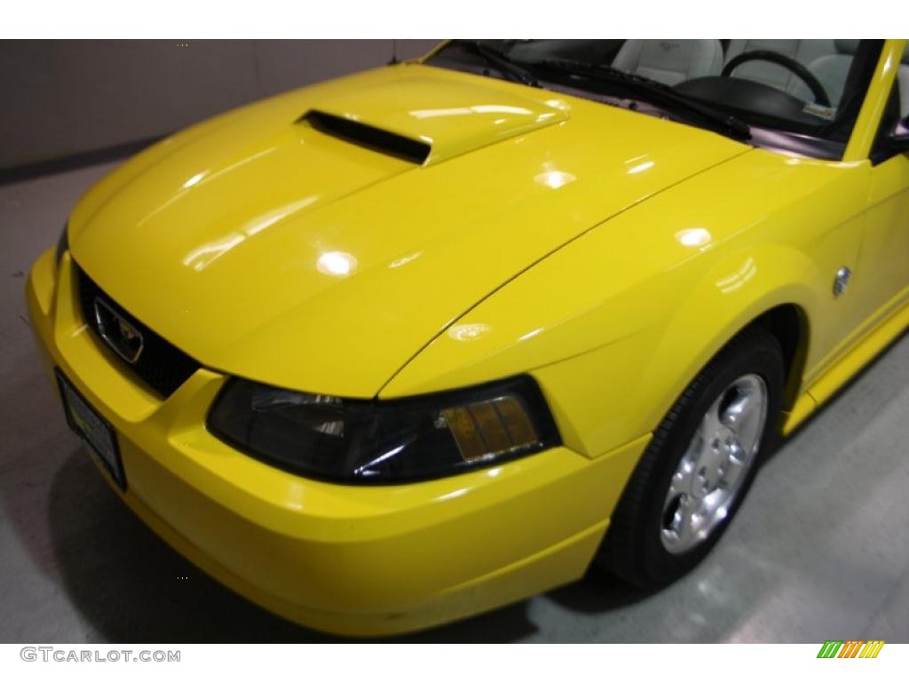 2004 Mustang V6 Convertible - Screaming Yellow / Oxford White photo #37