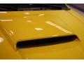 2004 Screaming Yellow Ford Mustang V6 Convertible  photo #39