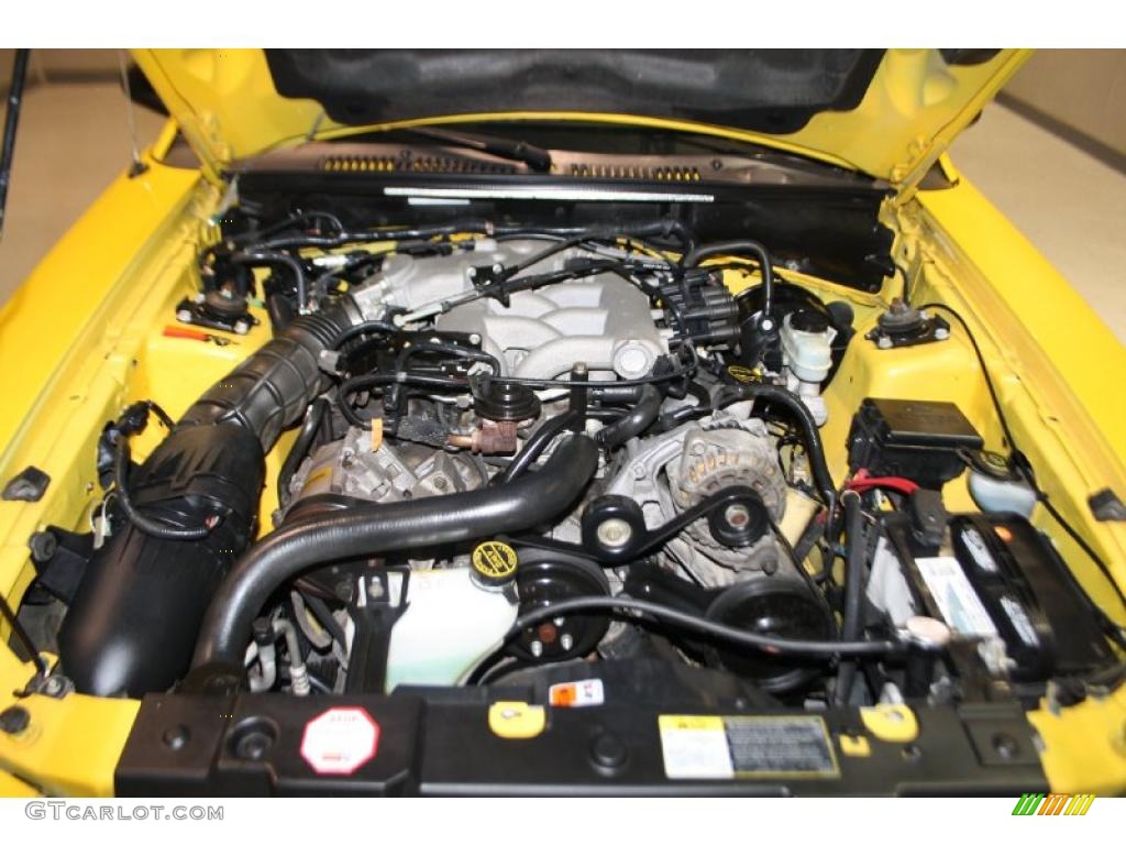2004 Mustang V6 Convertible - Screaming Yellow / Oxford White photo #44