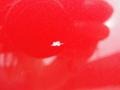 Barcelona Red Metallic - Camry LE Photo No. 13