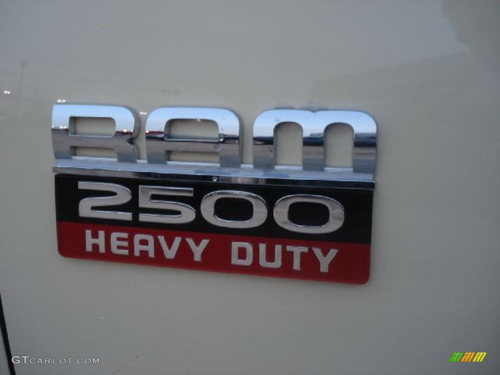 2011 Ram 2500 HD ST Crew Cab - Light Cream / Dark Slate/Medium Graystone photo #11
