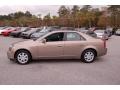 Radiant Bronze - CTS Sedan Photo No. 2