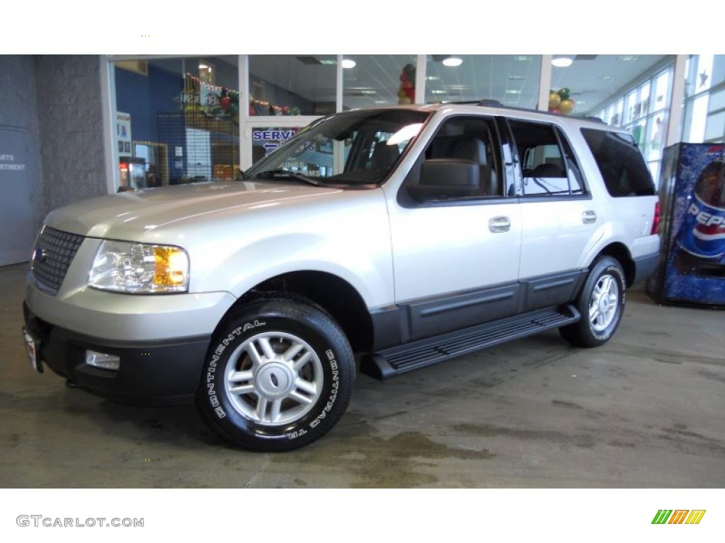 2003 Expedition XLT 4x4 - Silver Birch Metallic / Flint Grey photo #1