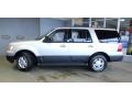 2003 Silver Birch Metallic Ford Expedition XLT 4x4  photo #4