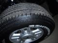 2003 Silver Birch Metallic Ford Expedition XLT 4x4  photo #35