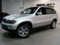 Titanium Silver Metallic - X5 3.0i Photo No. 1