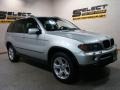 Titanium Silver Metallic - X5 3.0i Photo No. 3
