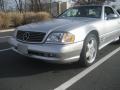 Brilliant Silver Metallic - SL 500 Roadster Photo No. 5