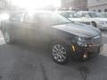 Blackberry - CTS Sedan Photo No. 4
