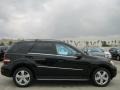 Black - ML 350 Photo No. 2