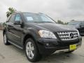 Black - ML 350 Photo No. 1