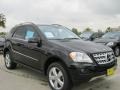 Black - ML 350 Photo No. 1