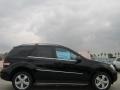 Black - ML 350 Photo No. 2