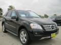 Black - ML 350 Photo No. 1