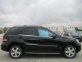 Black - ML 350 Photo No. 2