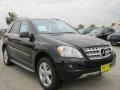 Black - ML 350 Photo No. 1