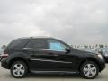 Black - ML 350 Photo No. 2