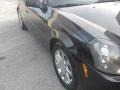 Blackberry - CTS Sedan Photo No. 51