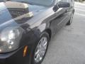 Blackberry - CTS Sedan Photo No. 52