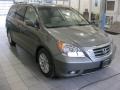 Nimbus Gray Metallic - Odyssey Touring Photo No. 1