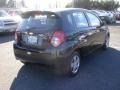 2010 Black Granite Chevrolet Aveo Aveo5 LT  photo #4