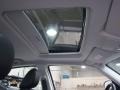 Dark Slate Gray Sunroof Photo for 2010 Dodge Charger #41957164