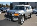 Titanium Metallic - FJ Cruiser  Photo No. 12