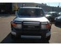 Titanium Metallic - FJ Cruiser  Photo No. 13