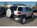 Titanium Metallic - FJ Cruiser  Photo No. 15