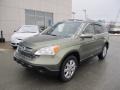 Green Tea Metallic - CR-V EX-L 4WD Photo No. 2