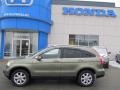 Green Tea Metallic - CR-V EX-L 4WD Photo No. 3