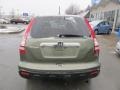 Green Tea Metallic - CR-V EX-L 4WD Photo No. 5
