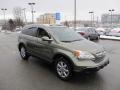 Green Tea Metallic - CR-V EX-L 4WD Photo No. 6