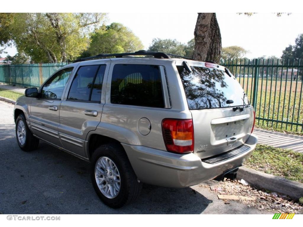 2004 Grand Cherokee Limited 4x4 - Light Pewter Metallic / Taupe photo #7