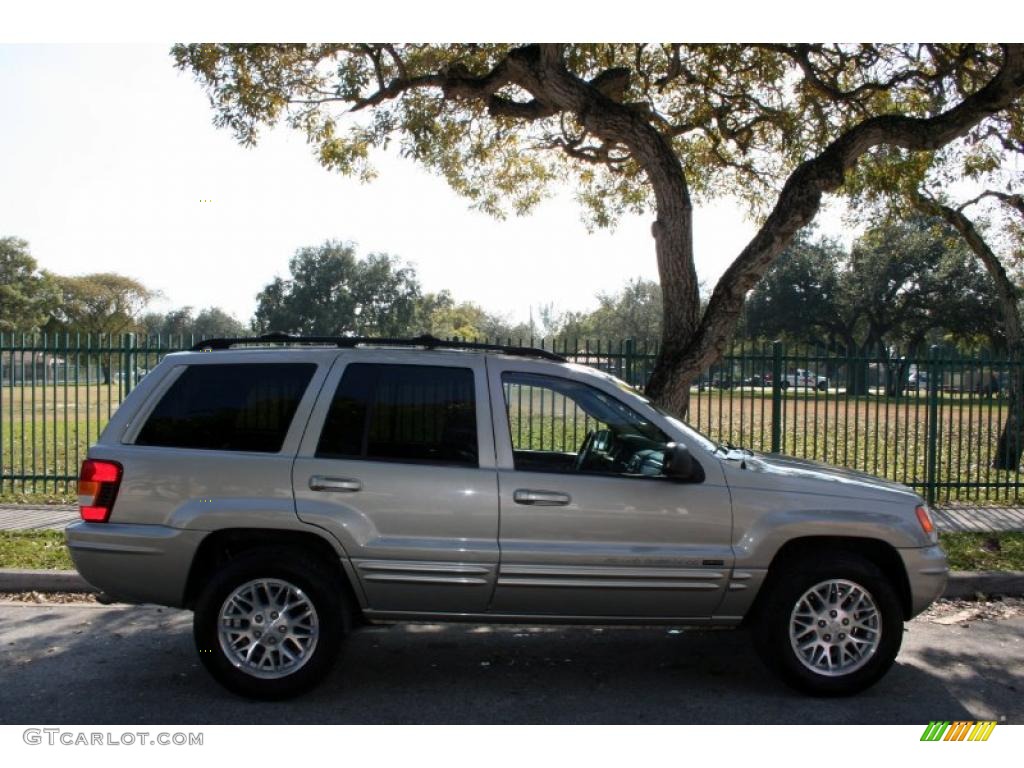 2004 Grand Cherokee Limited 4x4 - Light Pewter Metallic / Taupe photo #11