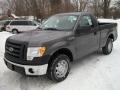 Sterling Grey Metallic 2011 Ford F150 XL Regular Cab Exterior