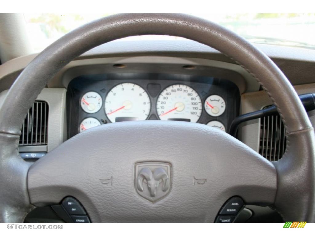 2002 Ram 1500 Sport Quad Cab 4x4 - Bright White / Taupe photo #67